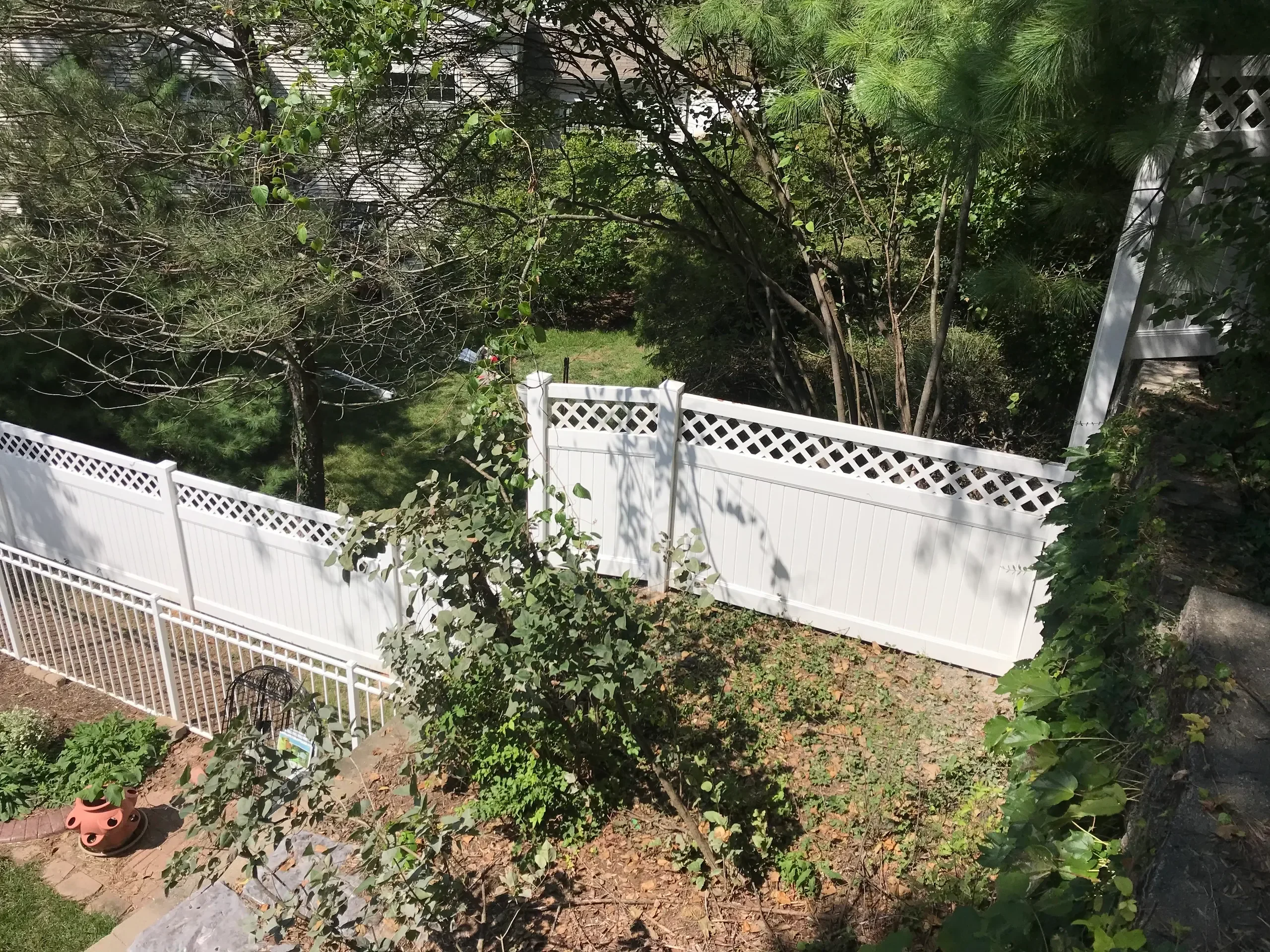 A view of a well-maintained backyard with a white lattice fence, trees, and green plants under bright sunlight.